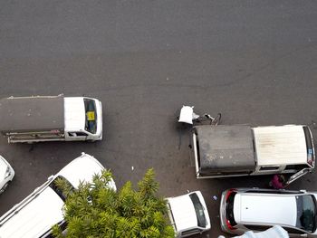 High angle view of cars on road