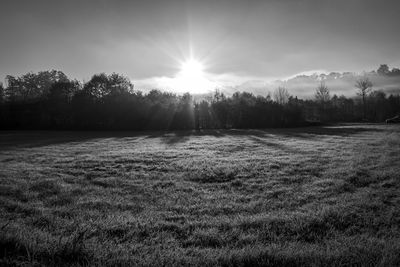 Scenic view of field against sky