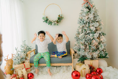 Portrait of boys holding christmas tree at home