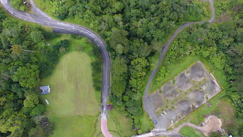 High angle view of trees