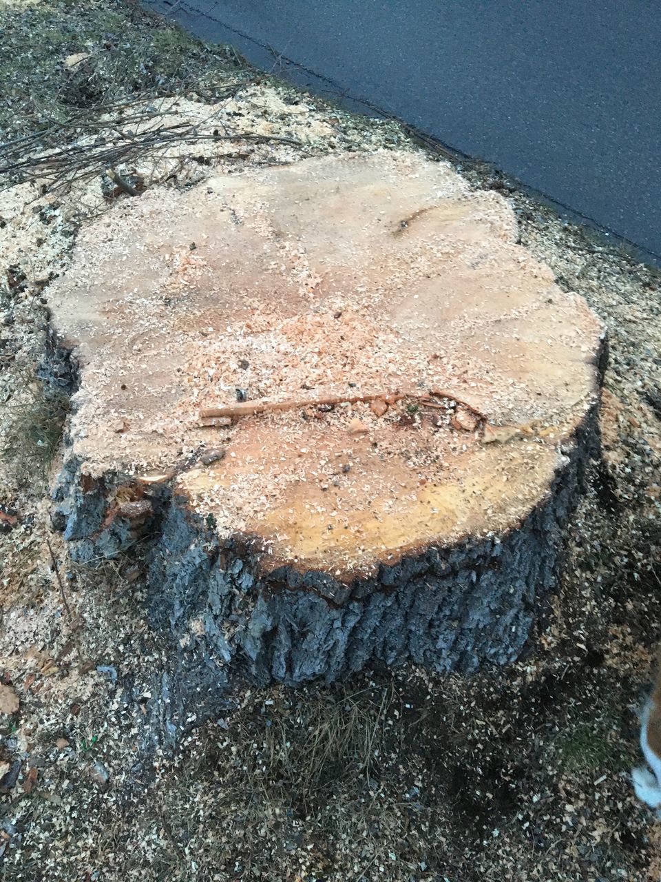 HIGH ANGLE VIEW OF HEART SHAPE ON SHORE