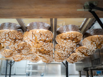 Close-up of food for sale