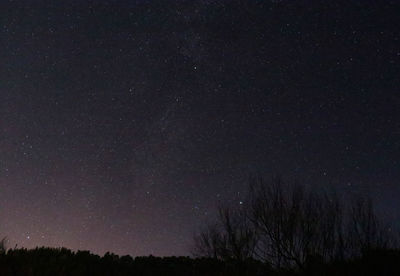 Low angle view of silhouette trees against sky at night