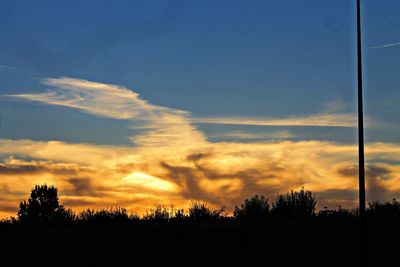 Silhouette trees on field against sky during sunset