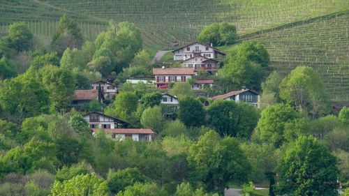 Houses amidst trees and buildings in village