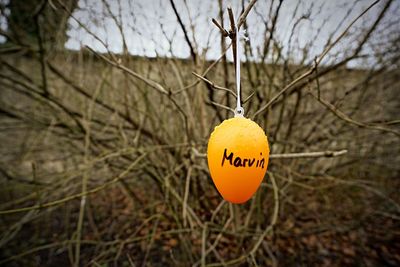 Text on wet yellow toy hanging against bare tree