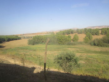 Scenic view of field against clear sky