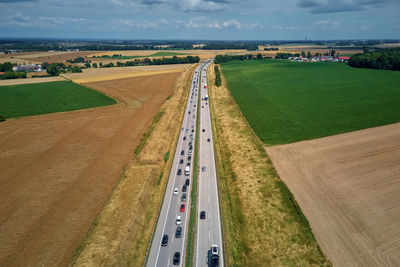 High angle view of agricultural field