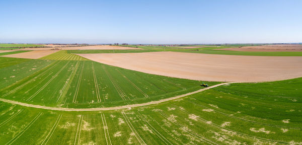 Scenic view of agricultural field against clear sky