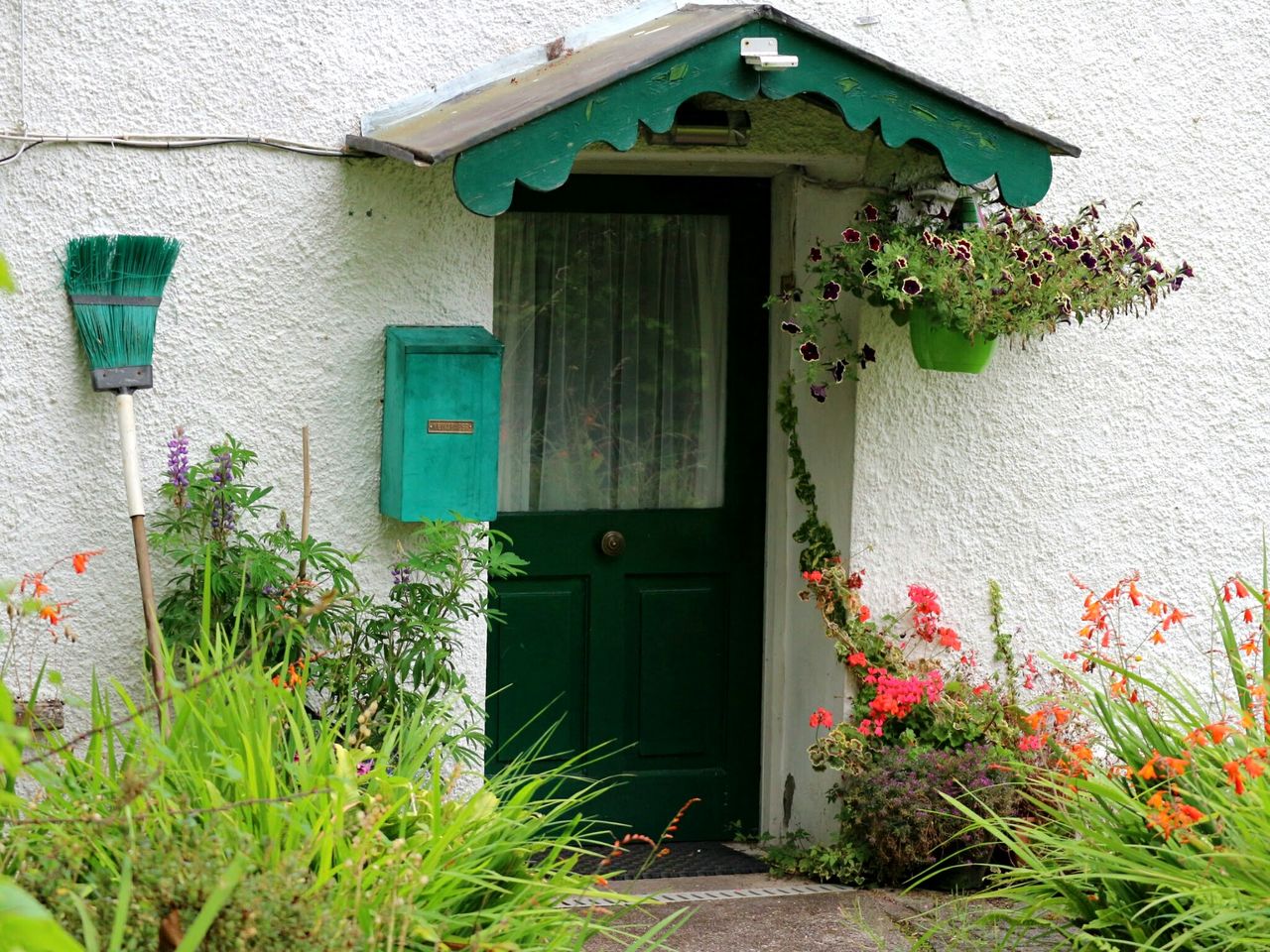 door, built structure, architecture, building exterior, green color, house, entrance, no people, plant, outdoors, green, growth, day, doorway, open door, entry, whitewashed, nature