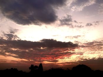 Low angle view of silhouette trees against sky during sunset