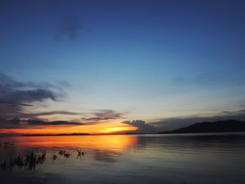 Scenic view of sea at sunset