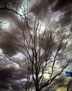 Close-up of bare tree against cloudy sky