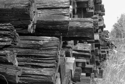 Stack of logs