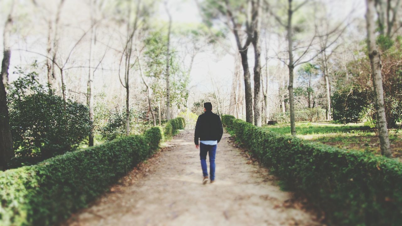 tree, rear view, full length, walking, lifestyles, the way forward, leisure activity, growth, green color, person, road, standing, casual clothing, nature, diminishing perspective, footpath, day, grass