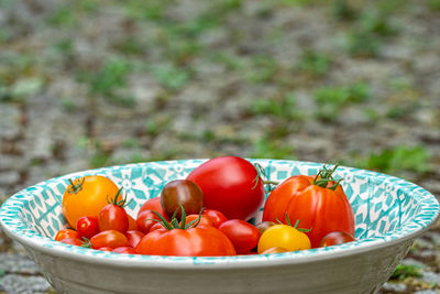 Close-up of fruits in basket