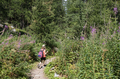Female hiker on a path in the middle of the forest and flowers in the summer in the alps
