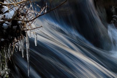 Close-up of tree branches during winter