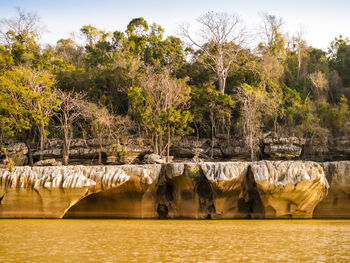 Scenic view of lake against trees