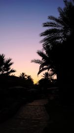 Silhouette palm trees against clear sky