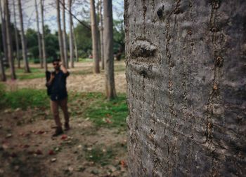Man on tree trunk in forest