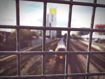 Close-up of bird in cage against sky