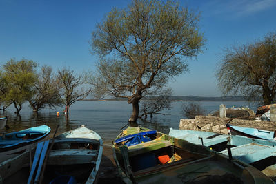 Boats moored at lakeshore