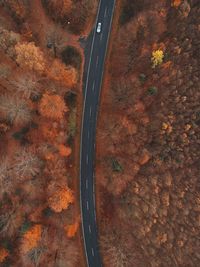 High angle view of road during autumn