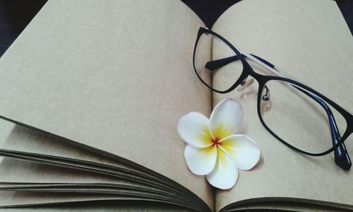 High angle view of frangipani with eyeglasses on book