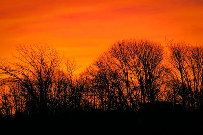 Silhouette trees against sky during sunset