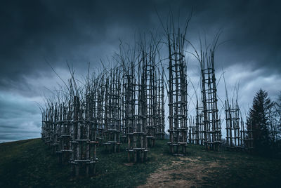 Vegetable cathedral giuliano mauri land art