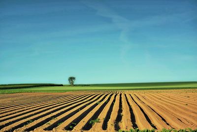 Scenic view of field against cloudy sky