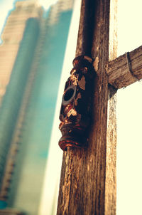 Low angle view of wooden plank
