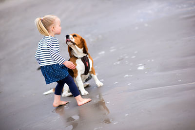 Girl and beagle on shore at beach