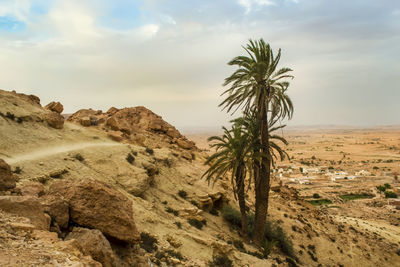 Scenic view of desert against sky