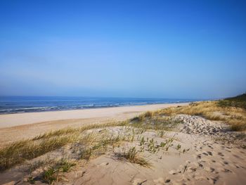 Scenic view of beach against clear blue sky