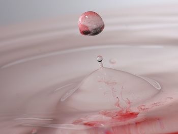 Close-up of water drops on red surface