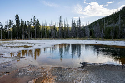 Reflection of trees in hotspring amidst geothermal landscape at yellowstone park
