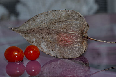 Close-up of apple on table