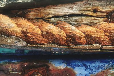 Close-up of meat for sale in market