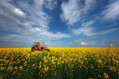 Scenic view of field against yellow sky