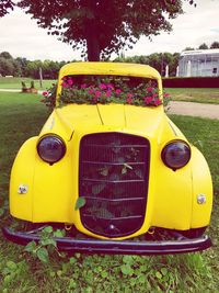 Close-up of yellow car on field