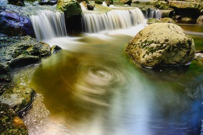Scenic view of waterfall in forest