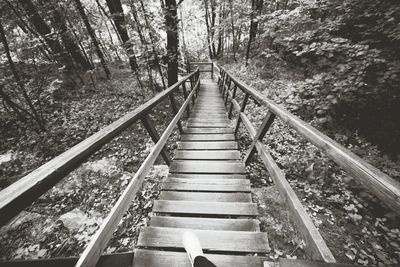 Footbridge in forest