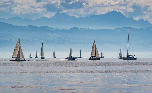 Sailboats sailing in sea against sky