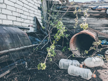 Abandoned building against wall