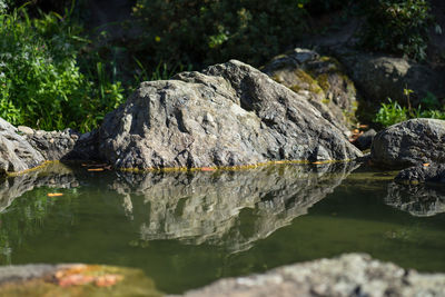 Rocks in a quiet creek reflected in the water.