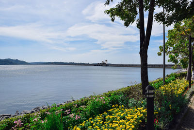 Scenic view of river against sky