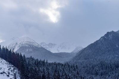 Scenic view of mountains against sky during winter