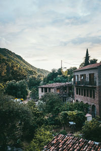 Trees and houses against sky